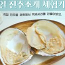 진주품은조개