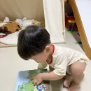 무염농장 이미지