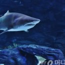 스몰윈도우스쿠알렌 - 목포시 청호로 116 | 스몰윈도우스쿠알렌