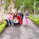 대만여행에서 국은 여성동우회 소녀(?)들의 모습 이미지