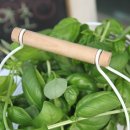 아로마천연화장품,비누만들기 이미지