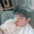 오마이펫 이미지