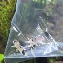 금성수족관 이미지