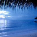 댕겨오겠습니다 이미지