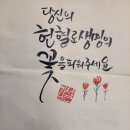 송  천 이미지