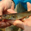 아쿠아라이프 이미지