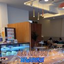 데일리지몽