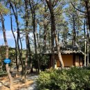 몰운대유원지약수터 이미지