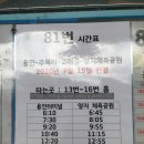 양지체육관 이미지