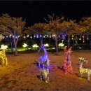 낙조분수 이미지