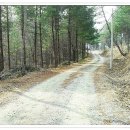 화이트 밸리 이미지