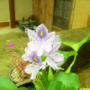 벌교하나로마트앞 이미지