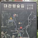 2026년7월25일(토) 선자령 정기탐사 안내 이미지