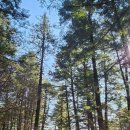 고향목장 이미지