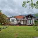 남지중앙로 이미지