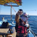 설악밸리 펜션민박 이미지