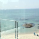 파라다이스 코브 이미지