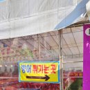 신장매점