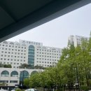 쌍둥이푸드 | 서울 아산병원 쌍둥이 임당검사 후기 + 재검 당첨 (이유분석)