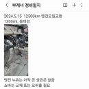 면목동-125 이미지