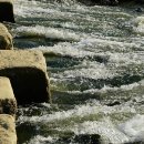 징검다리 이미지