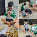삼둥이네