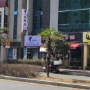 킥복싱 아레스짐 이미지