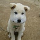 더블엠구강악안면외과치과의원 이미지