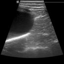 모현동물병원 이미지