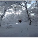 1월3일(토요당일)함백산(화방재~싸리재) 눈꽃산행 이미지