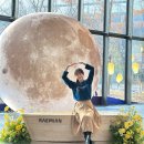 래미안갤러리 이미지