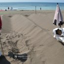 삼양해수욕장 이미지