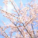 천안아산역 관광안내소 이미지