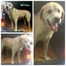 좌수영로 이미지