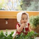 베리스튜디오 이미지