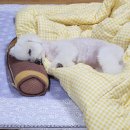 오깡주 | [10.07~10.20] 이 주간 일기