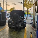 달구지카사랑 이미지