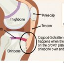 푸른숲한의원 이미지