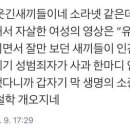 신동욱 "故조민기 사망, 미투운동 아니라 데스노트 꼴" 이미지