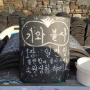 불사돈