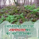 교래공간