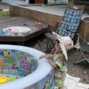 금물산하늘소캠프 이미지