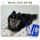 SH메디칼 | 바르는 강아지 고양이 치약 1위 페노비스 오랄벳 &amp; 오랄브러쉬 후기
