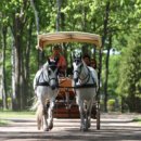 다산지금로16번길56 이미지