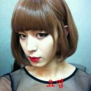 이예로 Daum카페