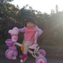 제주섬타임즈 이미지