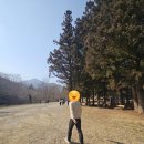 작가의산책길 | 순천여행 선암사 홍매화 봄꽃 산책 후기