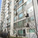 오금현대백조아파트 | 오금현대백조 아파트, 송파 오금동 구축 단지의 실제 가치와 향후 전망은 어떨까?