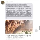 대전 &lt;노아의 방주&gt; 전시회 후기
