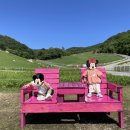 강원목장 이미지